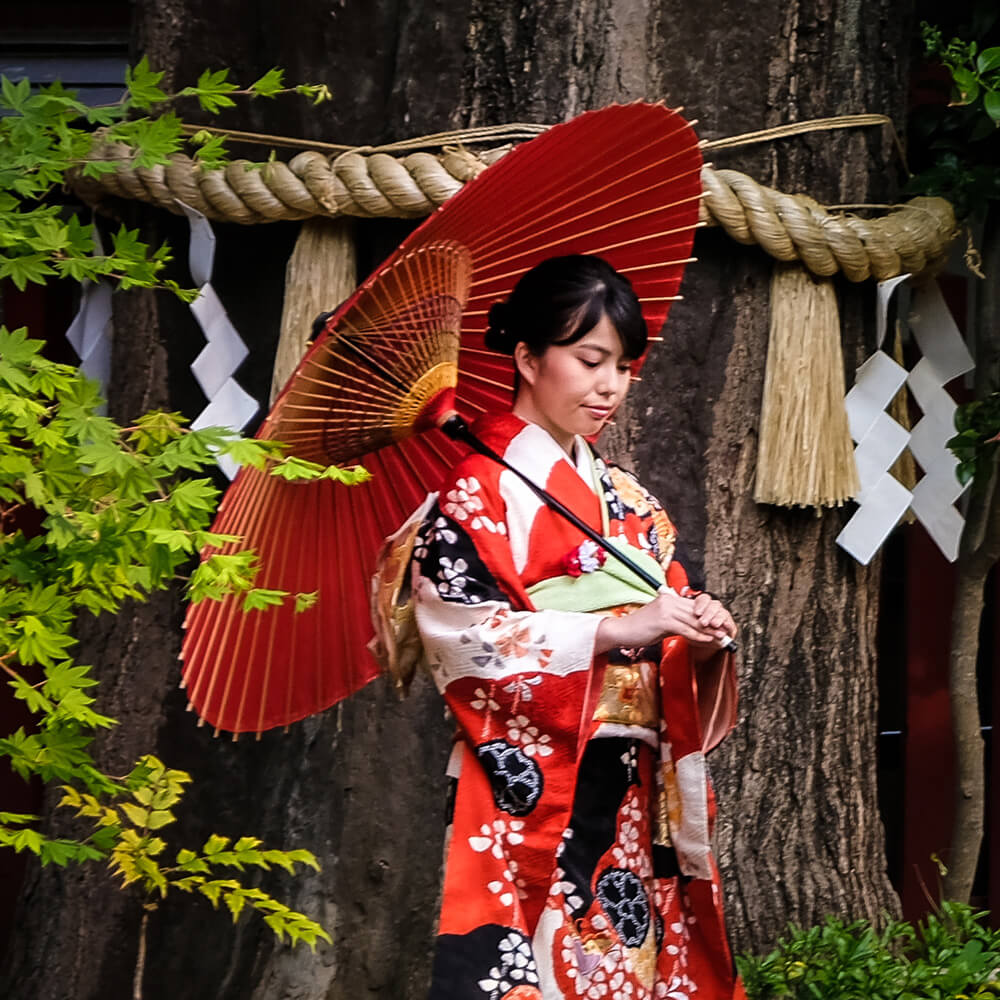 Tradition japonaise, Kyōto, Japon